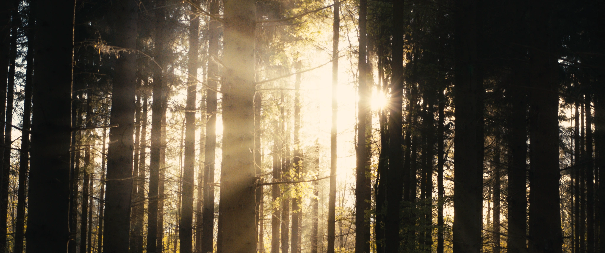 Frame from Vi Lyser I Mørket